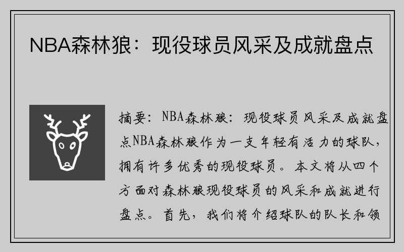 NBA森林狼：现役球员风采及成就盘点