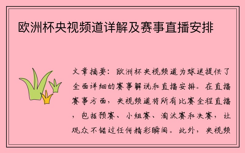 欧洲杯央视频道详解及赛事直播安排