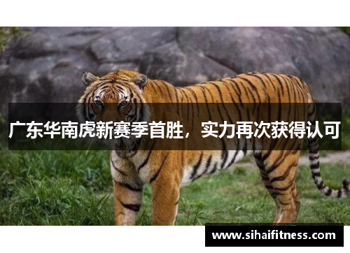 广东华南虎新赛季首胜，实力再次获得认可