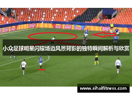 小众足球明星闪耀场边风景背影的独特瞬间解析与欣赏