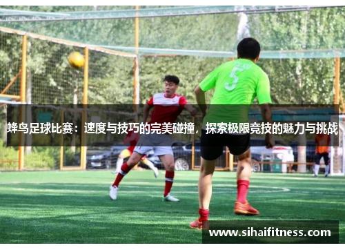 蜂鸟足球比赛：速度与技巧的完美碰撞，探索极限竞技的魅力与挑战