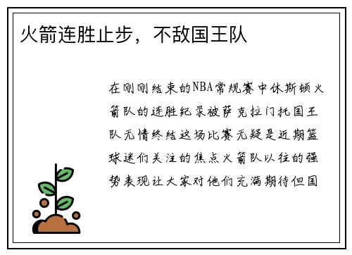 火箭连胜止步，不敌国王队